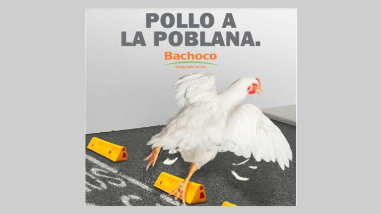 «Pollo a la Poblana» convierte en «Memisa» a Bachoco | Los mejores memes